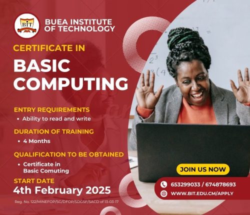 Buea Institute of Technology Certificate Programmes